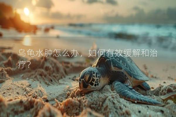 乌龟水肿怎么办，如何有效缓解和治疗？
