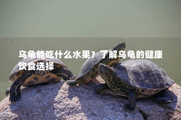 乌龟能吃什么水果？了解乌龟的健康饮食选择