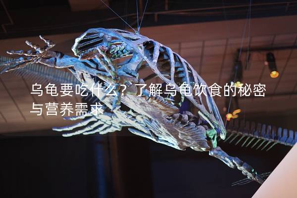 乌龟要吃什么？了解乌龟饮食的秘密与营养需求