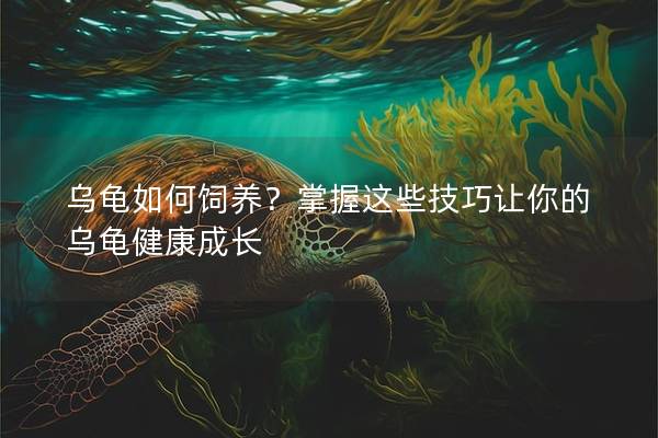 乌龟如何饲养？掌握这些技巧让你的乌龟健康成长