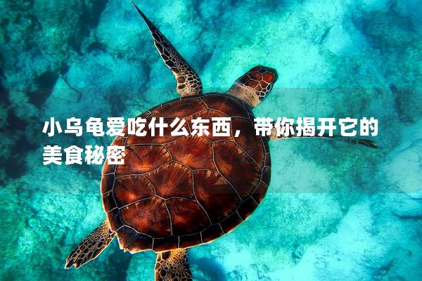 小乌龟爱吃什么东西，带你揭开它的美食秘密