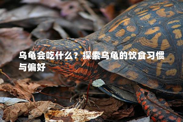 乌龟会吃什么？探索乌龟的饮食习惯与偏好