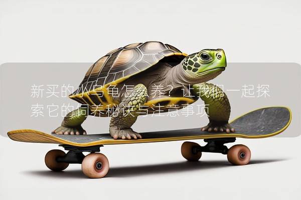 新买的小乌龟怎么养？让我们一起探索它的饲养秘诀与注意事项