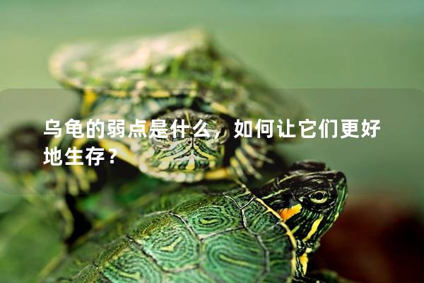 乌龟的弱点是什么，如何让它们更好地生存？