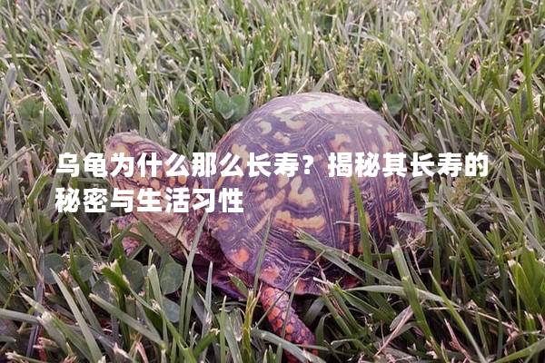 乌龟为什么那么长寿？揭秘其长寿的秘密与生活习性
