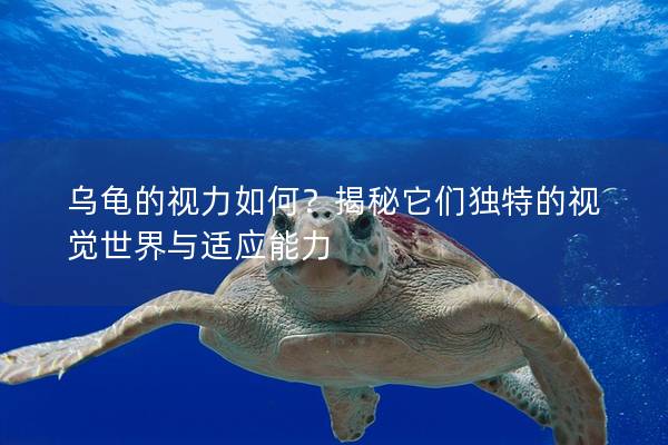 乌龟的视力如何？揭秘它们独特的视觉世界与适应能力