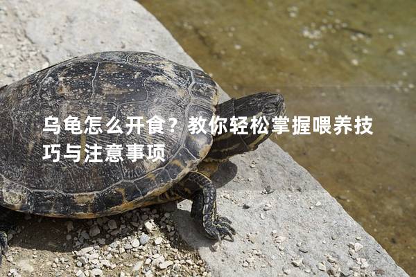乌龟怎么开食？教你轻松掌握喂养技巧与注意事项