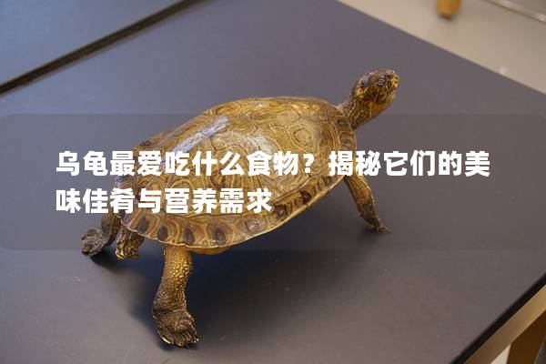 乌龟最爱吃什么食物？揭秘它们的美味佳肴与营养需求