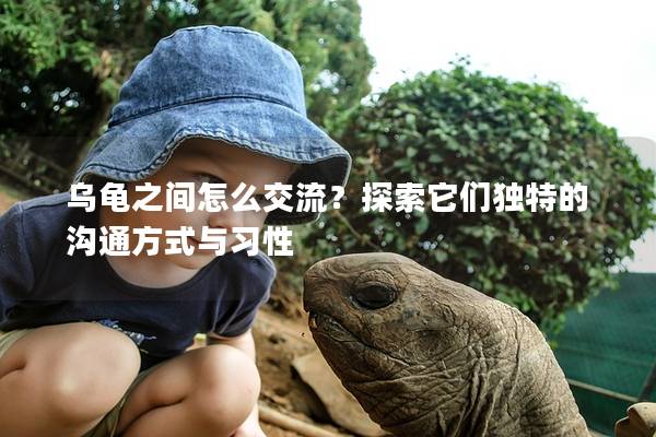 乌龟之间怎么交流？探索它们独特的沟通方式与习性