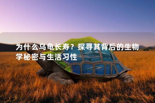 为什么乌龟长寿？探寻其背后的生物学秘密与生活习性