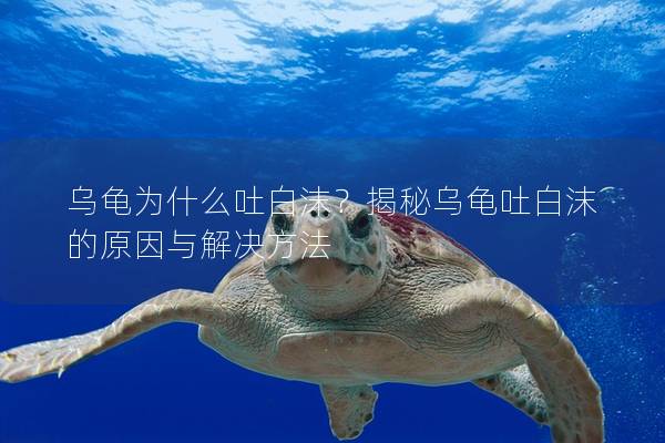 乌龟为什么吐白沫？揭秘乌龟吐白沫的原因与解决方法