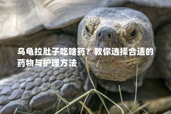 乌龟拉肚子吃啥药？教你选择合适的药物与护理方法