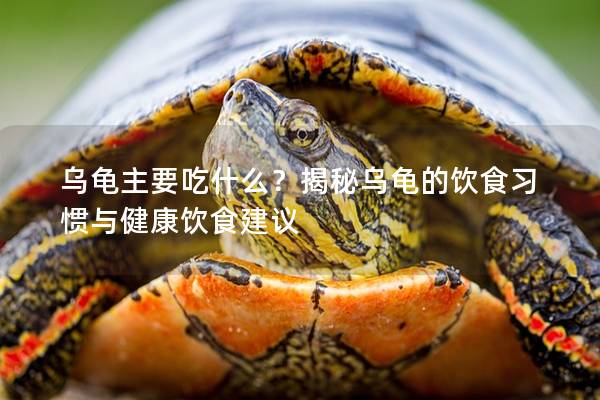 乌龟主要吃什么？揭秘乌龟的饮食习惯与健康饮食建议