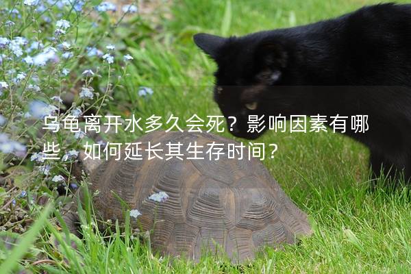 乌龟离开水多久会死？影响因素有哪些，如何延长其生存时间？