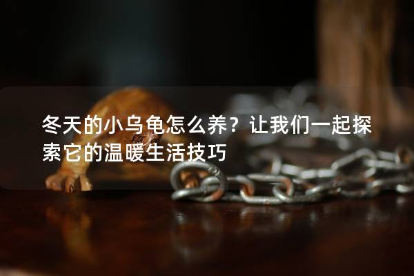 冬天的小乌龟怎么养？让我们一起探索它的温暖生活技巧