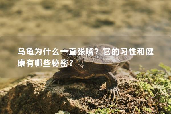 乌龟为什么一直张嘴？它的习性和健康有哪些秘密？