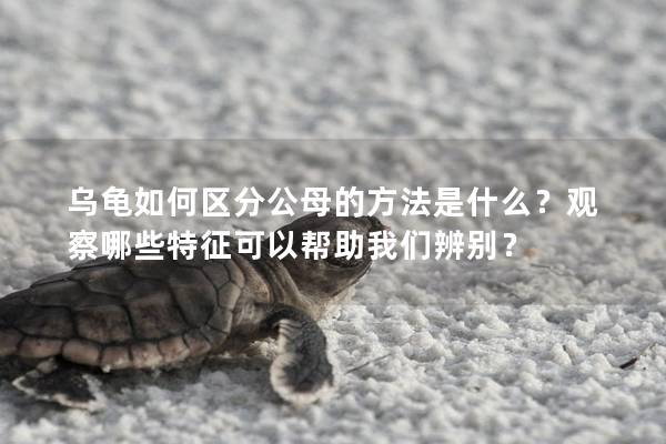 乌龟如何区分公母的方法是什么？观察哪些特征可以帮助我们辨别？