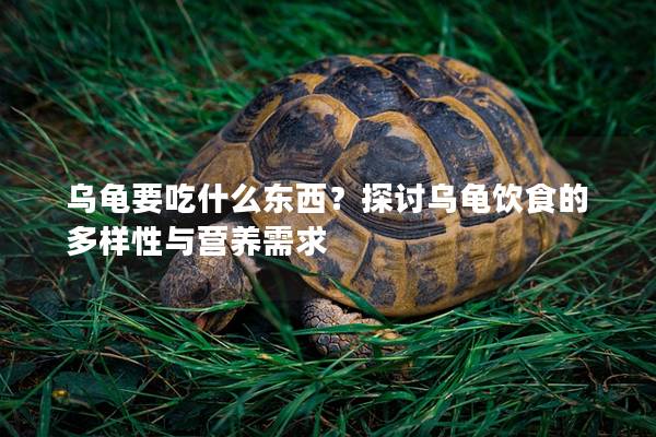 乌龟要吃什么东西？探讨乌龟饮食的多样性与营养需求
