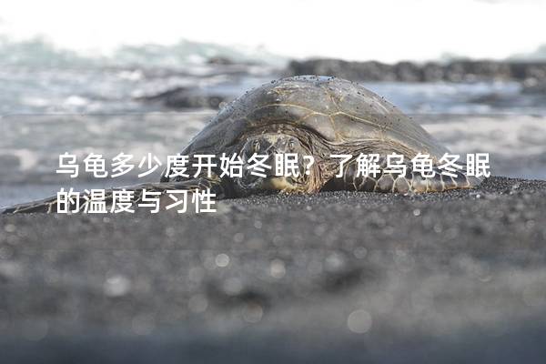 乌龟多少度开始冬眠？了解乌龟冬眠的温度与习性