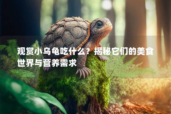 观赏小乌龟吃什么？揭秘它们的美食世界与营养需求