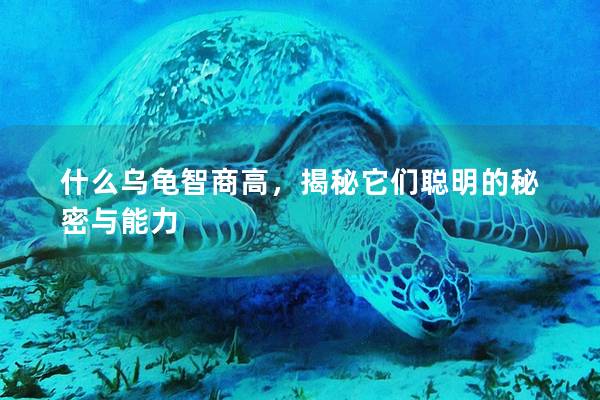 什么乌龟智商高，揭秘它们聪明的秘密与能力