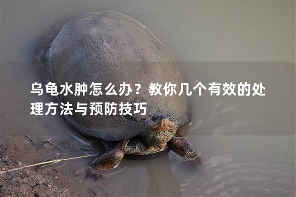 乌龟水肿怎么办？教你几个有效的处理方法与预防技巧