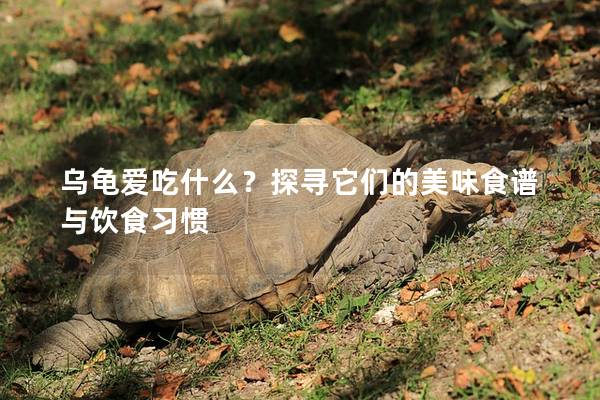 乌龟爱吃什么？探寻它们的美味食谱与饮食习惯