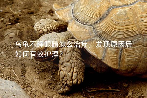 乌龟不睁眼睛怎么治疗，发现原因后如何有效护理？