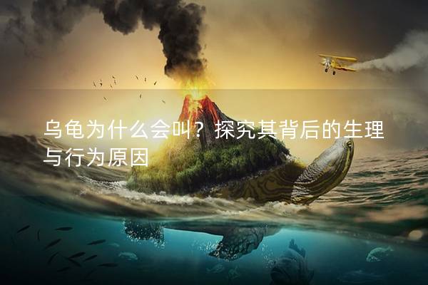 乌龟为什么会叫？探究其背后的生理与行为原因