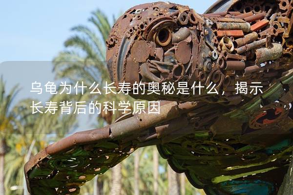 乌龟为什么长寿的奥秘是什么，揭示长寿背后的科学原因