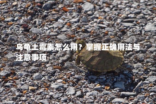 乌龟土霉素怎么用？掌握正确用法与注意事项