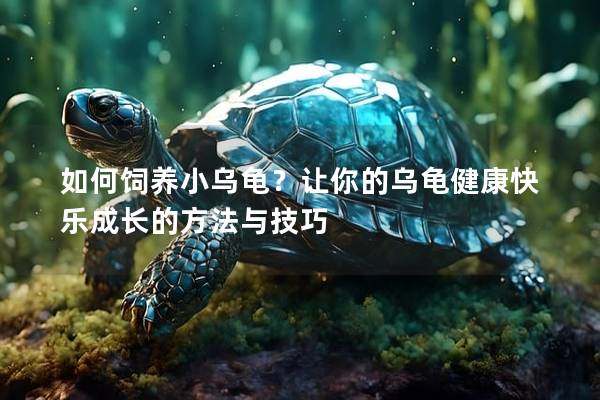 如何饲养小乌龟？让你的乌龟健康快乐成长的方法与技巧