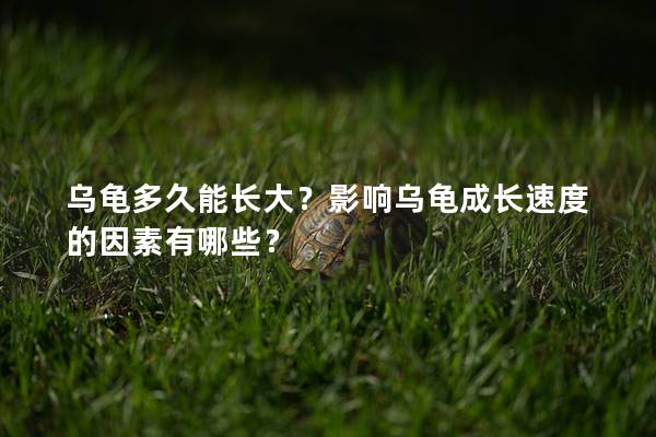 乌龟多久能长大？影响乌龟成长速度的因素有哪些？