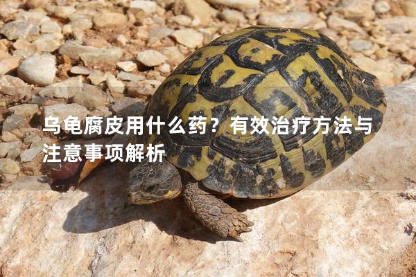 乌龟腐皮用什么药？有效治疗方法与注意事项解析
