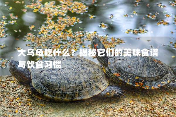 大乌龟吃什么？揭秘它们的美味食谱与饮食习惯