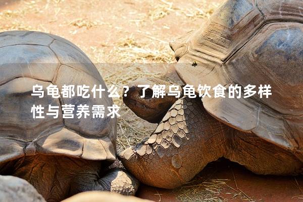 乌龟都吃什么？了解乌龟饮食的多样性与营养需求