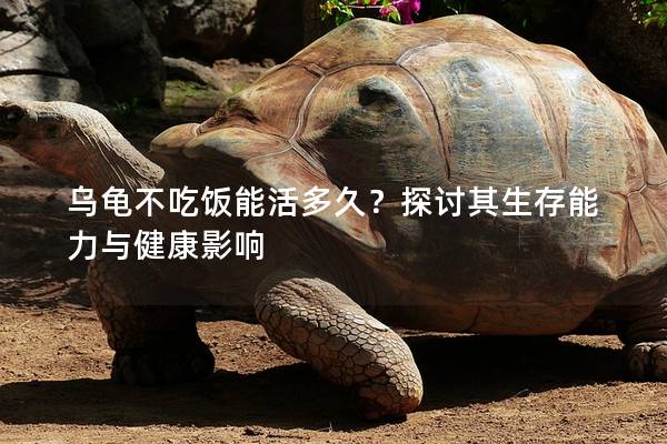 乌龟不吃饭能活多久？探讨其生存能力与健康影响