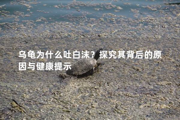 乌龟为什么吐白沫？探究其背后的原因与健康提示