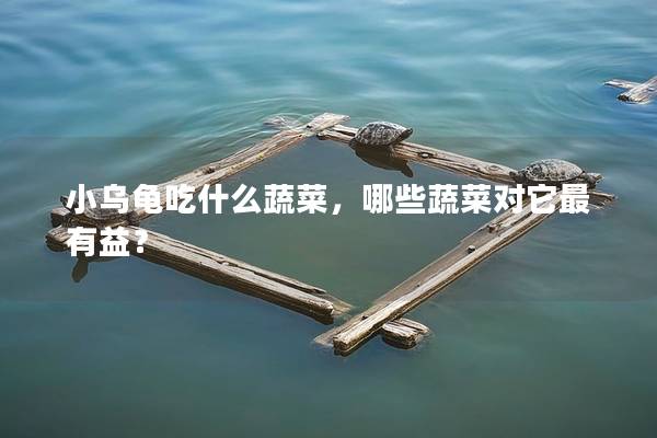 小乌龟吃什么蔬菜，哪些蔬菜对它最有益？