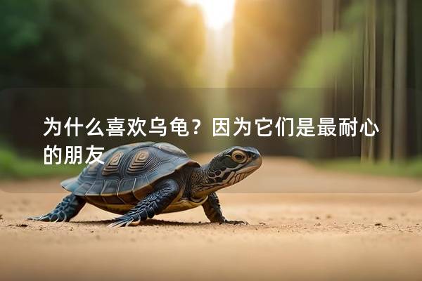 为什么喜欢乌龟？因为它们是最耐心的朋友