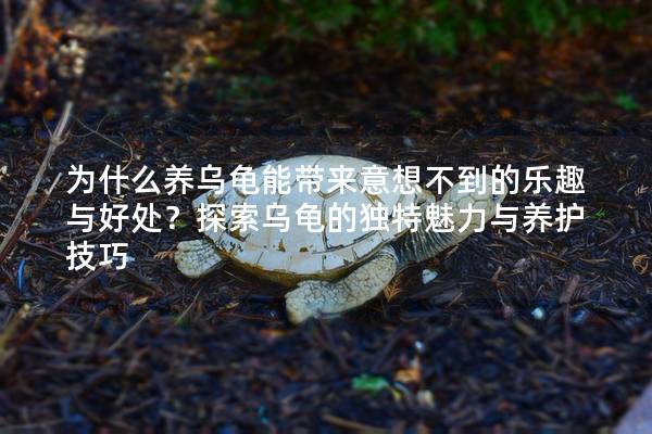为什么养乌龟能带来意想不到的乐趣与好处？探索乌龟的独特魅力与养护技巧
