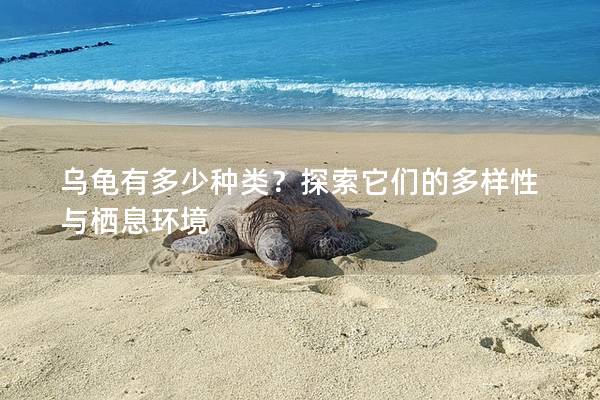 乌龟有多少种类？探索它们的多样性与栖息环境