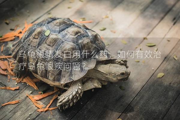 乌龟眼睛发白用什么药，如何有效治疗乌龟眼疾问题？