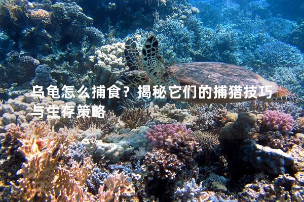 乌龟怎么捕食？揭秘它们的捕猎技巧与生存策略