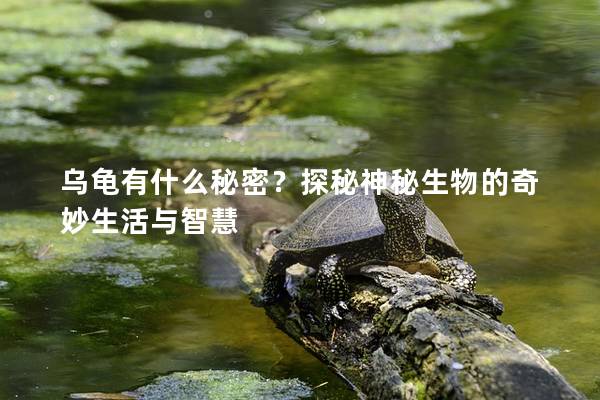 乌龟有什么秘密？探秘神秘生物的奇妙生活与智慧