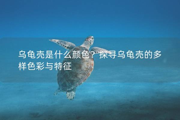 乌龟壳是什么颜色？探寻乌龟壳的多样色彩与特征