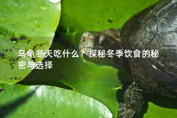 乌龟冬天吃什么？探秘冬季饮食的秘密与选择