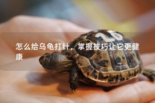 怎么给乌龟打针，掌握技巧让它更健康