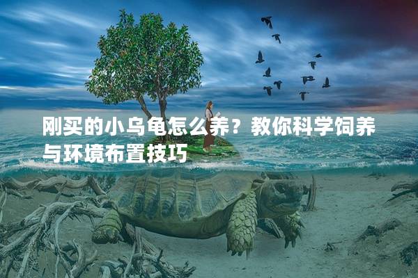 刚买的小乌龟怎么养？教你科学饲养与环境布置技巧