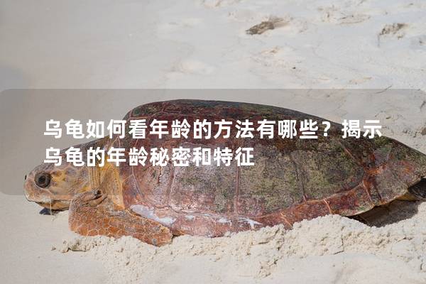 乌龟如何看年龄的方法有哪些？揭示乌龟的年龄秘密和特征